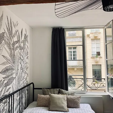 Apartment Studio Saint-pierre - Hyper Centre Historique *